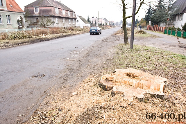 2/13 Gorzów: Wycinka drzew na ul. Kobylogórskiej 