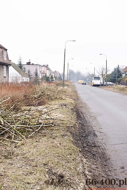 3/13 Gorzów: Wycinka drzew na ul. Kobylogórskiej 