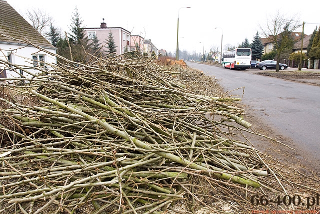 7/13 Gorzów: Wycinka drzew na ul. Kobylogórskiej 