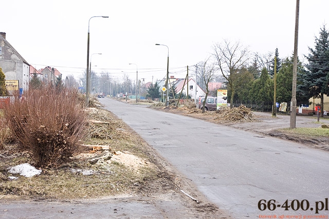 10/13 Gorzów: Wycinka drzew na ul. Kobylogórskiej 