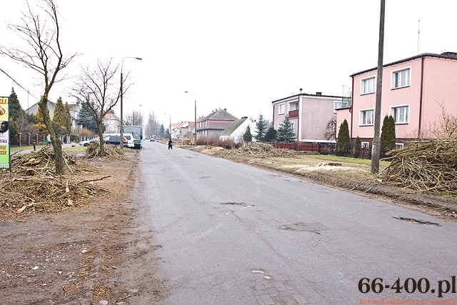 12/13 Gorzów: Wycinka drzew na ul. Kobylogórskiej 