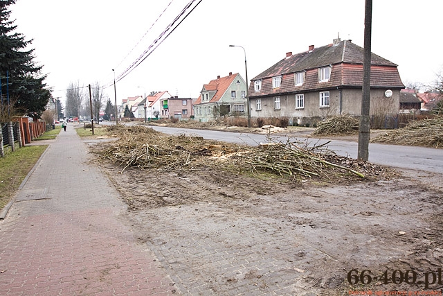 13/13 Gorzów: Wycinka drzew na ul. Kobylogórskiej 