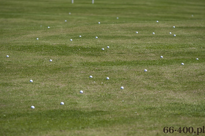 6/16 Gorzów: Pole Golfowe