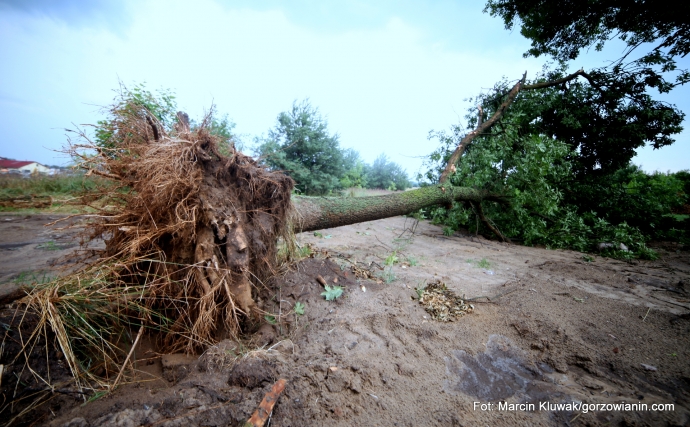 3/21 W Gorzowie słońce - w gminie Bogdaniec armagedon