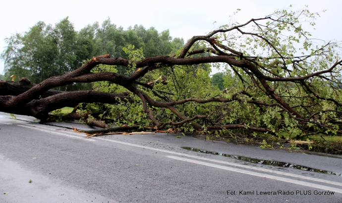 14/21 W Gorzowie słońce - w gminie Bogdaniec armagedon
