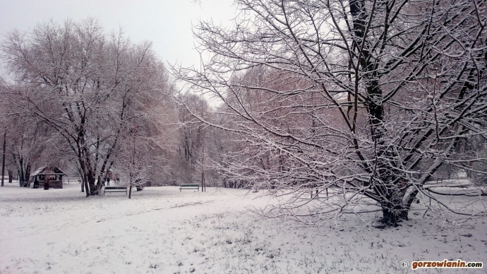 3/12 Zima w Gorzowie