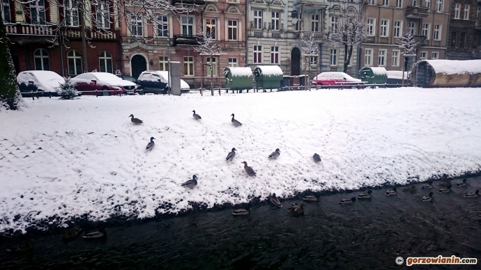 6/12 Zima w Gorzowie