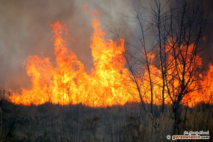 3/5 Strażacy walczą z płonącą trawą