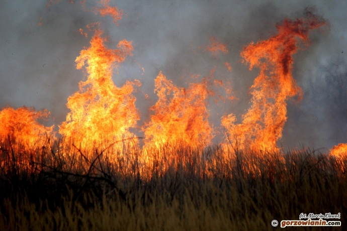 4/5 Strażacy walczą z płonącą trawą