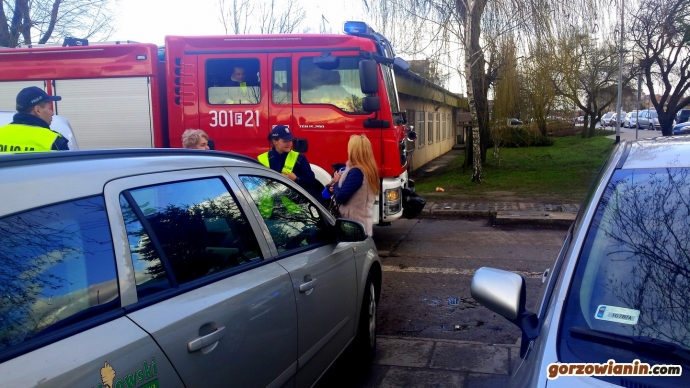 4/12 Gorzowscy strażacy uratowali psa z płonącego auta
