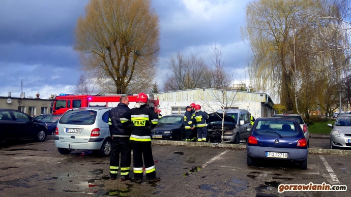 6/12 Gorzowscy strażacy uratowali psa z płonącego auta
