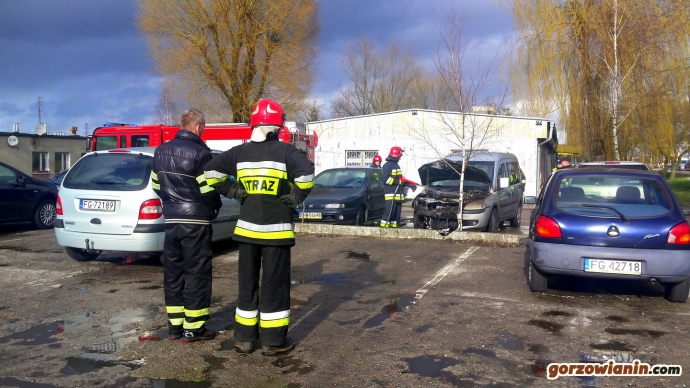 7/12 Gorzowscy strażacy uratowali psa z płonącego auta