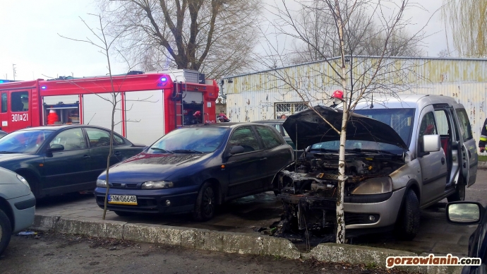 12/12 Gorzowscy strażacy uratowali psa z płonącego auta