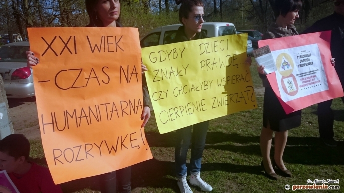 6/9 Protestowali pod cyrkiem