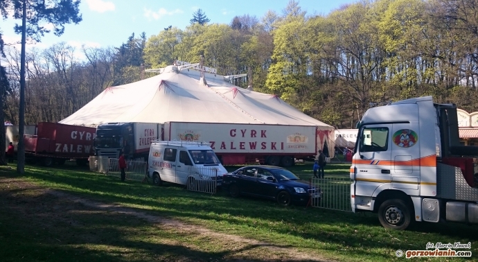 9/9 Protestowali pod cyrkiem