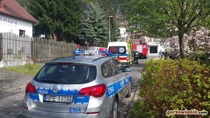 4/6 Kobieta pod kołami busa