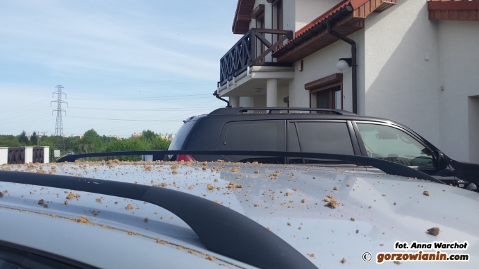 5/9 Przy ul. Srebrnej wybuchła studzienka