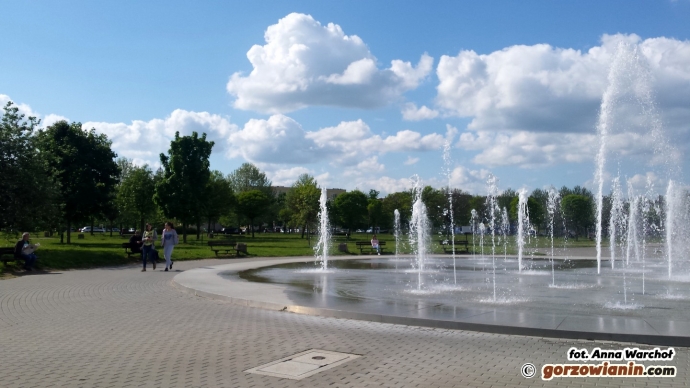 7/7 W parku Górczyńskim powstanie plac zabaw