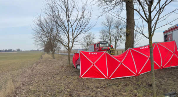 Śmiertelny wypadek na DK22 - Brzoza koło Strzelec Krajeńskich