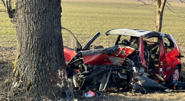 Śmiertelny wypadek na DK22 - Brzoza koło Strzelec Krajeńskich