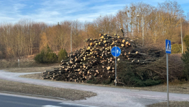 wycinka drzew pod farmę fotowoltaiczną przy ulicy Dekerta w Gorzowie teren przy bazie LPR i szpitalu wojewódzkim w Gorzowie