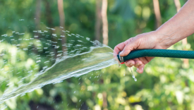 Jak wybrać pompę do podlewania ogrodu i dopasować ją do wielkości działki?