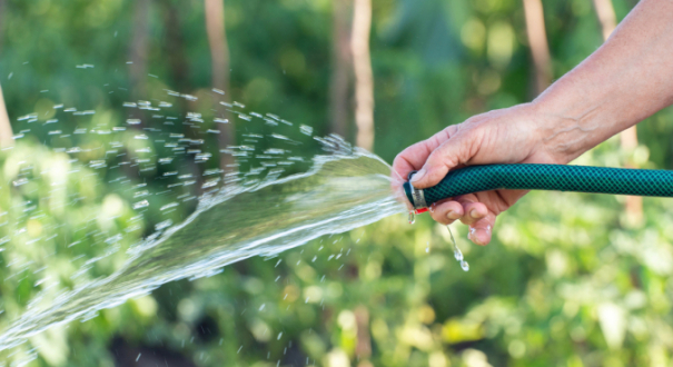 Jak wybrać pompę do podlewania ogrodu i dopasować ją do wielkości działki?