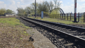 Z Gorzowa do Zielonej Góry znów nie dojechał żaden pociąg