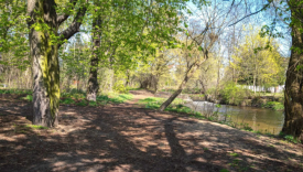 Co z budową ścieżki nad Kłodawką? Sprawdziliśmy, dlaczego wciąż nie ma przetargu