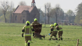 strażacy z OSP Lubczyno ratują jelonka uwięzionego w ogrodzeniu na polu w Jasińcu akcja straży pożarnej Gorzów ratowanie zwierząt w powiecie gorzowskim