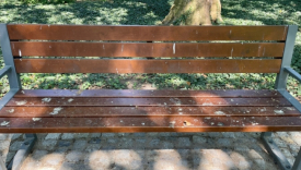 Zabrudzona ławka w Parku Róż w Gorzowie pokryta ptasimi odchodami. Problem czystości w Parku Wiosny Ludów.