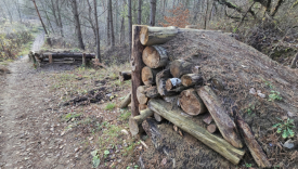 Bike Park Wieprzyce ulica Dąbroszyńska Gorzów miejsce tragicznego wypadku 17-latka i nielegalny tor przeszkód przeznaczony do likwidacji przez miasto