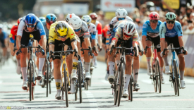 Kolarze peletonu Tour de Pologne na trasie wyścigu