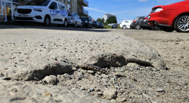 Betonowe płyty na ulicy Siedzikówny-Inki w Gorzowie Wielkopolskim Zniszczona nawierzchnia drogi na osiedlu Sady