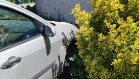 ford zatrzymany przed ścianą domu nietrzeźwy kierowca Gorzów Maszewo