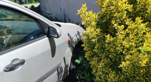 ford zatrzymany przed ścianą domu nietrzeźwy kierowca Gorzów Maszewo