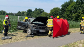 pijany obywatel ukrainy wypadek samochodowy wojcieszyce gorzow rozbity volkswagen