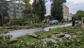 Skutki przejścia gwałtownej burzy i silnego wiatru w powiecie strzelecko-drezdeneckim połamane drzewa przy Alei Wolności w Strzelcach Krajeńskich