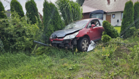 Kierujący Citroenem wjechał w ogrodzenie i skosił tuje