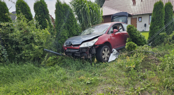 Kierujący Citroenem wjechał w ogrodzenie i skosił tuje