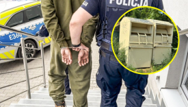 martwe szczeniaki w kontenerze na odziez uzywana policja sulecin zarzuty za zabicie zwierzat do 5 lat wiezienia piotr s