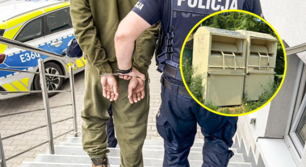 martwe szczeniaki w kontenerze na odziez uzywana policja sulecin zarzuty za zabicie zwierzat do 5 lat wiezienia piotr s