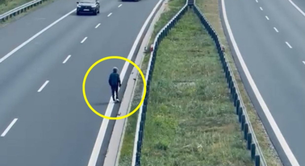 droga ekspresowa S3 węzeł Gorzów Północ policja Gorzów
radiowóz policji droga ekspresowa S3 Gorzów Wielkopolski