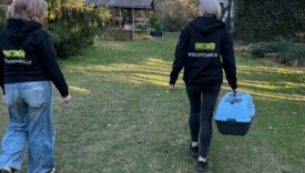 fundacja anaconda gorzow bezdomne koty pomoc zwierzetom zbiorka na leczenie kotow wolontariat gorzow 15 lat fundacji anaconda