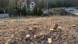 teren przy ul. Dekerta w Gorzowie. budowa farmy fotowoltaicznej zasilanie szpital wojewódzki Dekerta Gorzów