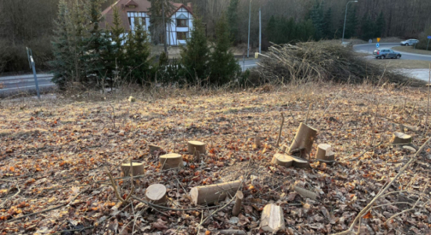 teren przy ul. Dekerta w Gorzowie. budowa farmy fotowoltaicznej zasilanie szpital wojewódzki Dekerta Gorzów