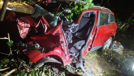 śmiertelny wypadek białczyk gorzów rozbite renault drzewo dwie ofiary śmiertelne akcja ratunkowa straż pożarna policja lpr gorzów