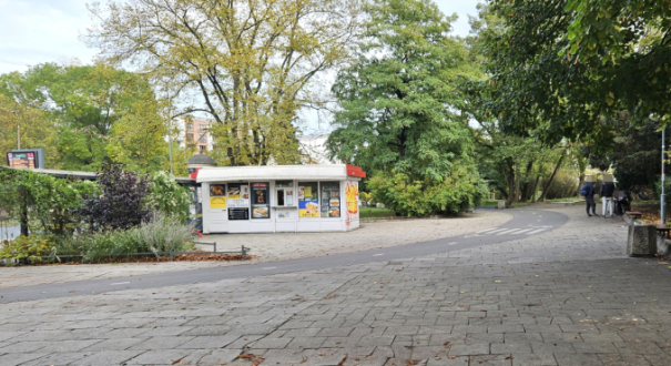 Pijani koczujący na skwerze pod zabytkowymi murami obronnymi w Gorzowie Wielkopolskim
Przystanek autobusowy przy ulicy Jagiełły w Gorzowie gdzie nagabywani są pasażerowie