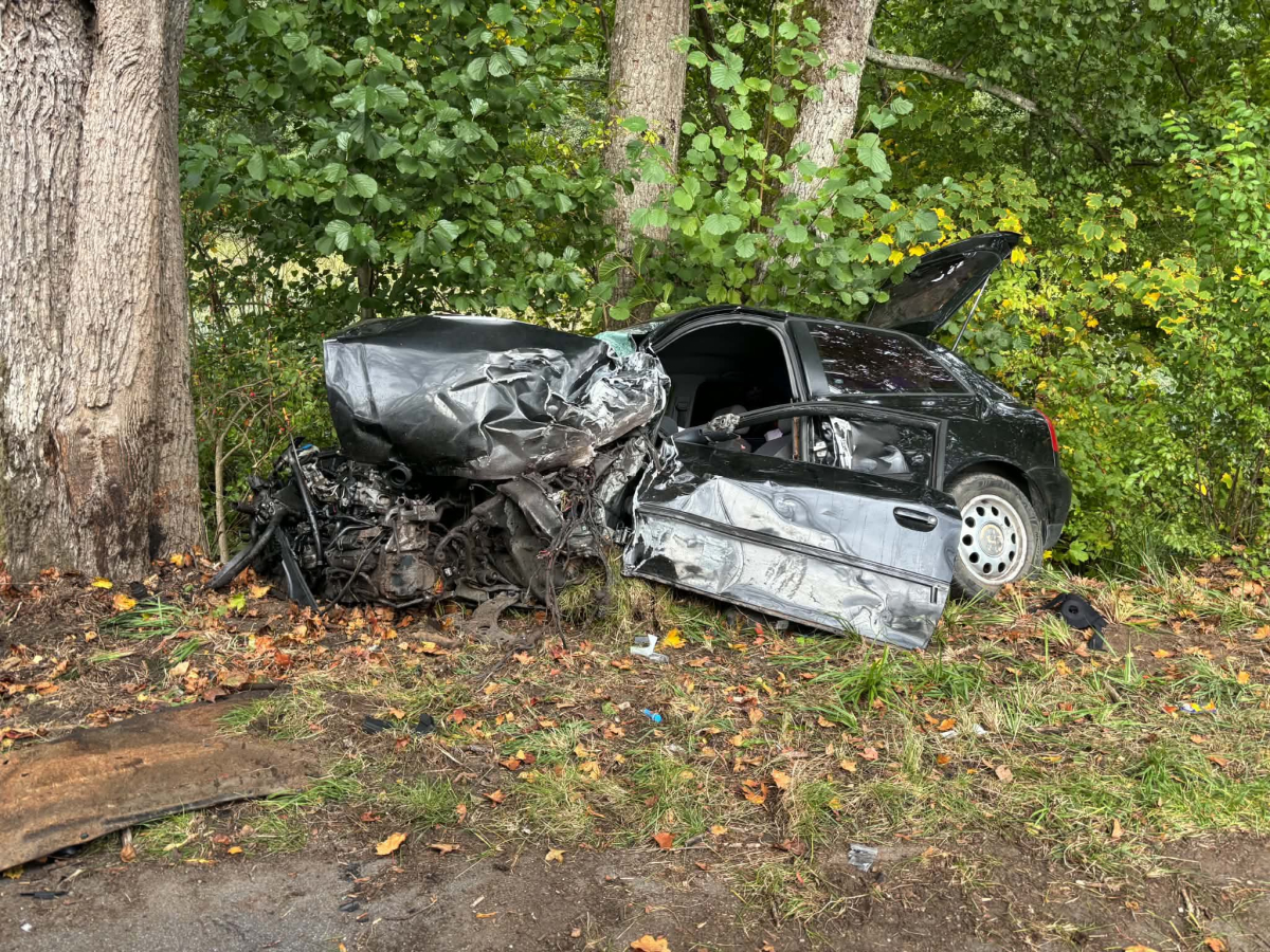 Czołówka Audi i auta dostawczego 